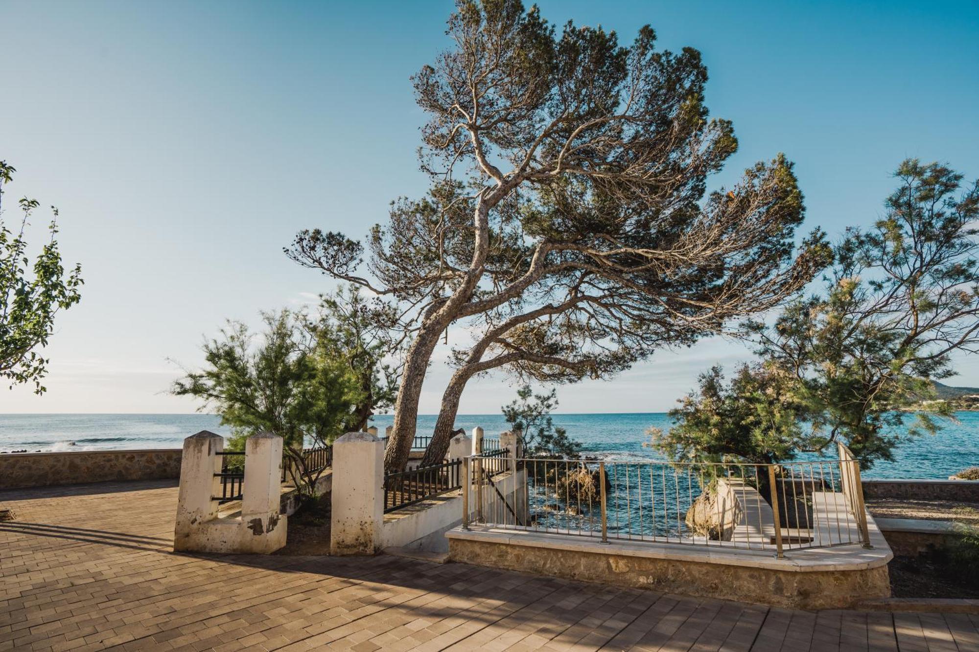 Sa Punta Duplex Cala Ratjada Cala Ratjada (Mallorca)